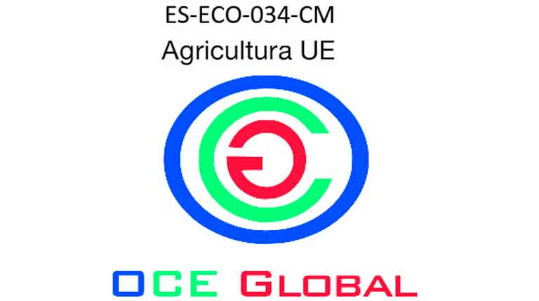 Logotipo OCE GLOBAL